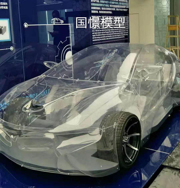 商河县透明车模型